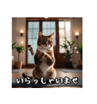 敬語を話す猫（個別スタンプ：19）