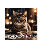 敬語を話す猫（個別スタンプ：22）