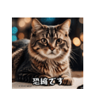 敬語を話す猫（個別スタンプ：23）