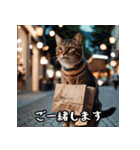 敬語を話す猫（個別スタンプ：24）