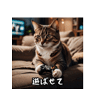 敬語を話す猫（個別スタンプ：31）