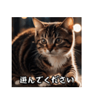 敬語を話す猫（個別スタンプ：34）