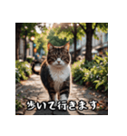 敬語を話す猫（個別スタンプ：37）