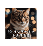 敬語を話す猫（個別スタンプ：40）