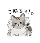 たぬねこクンの仕事で使える日常敬語（個別スタンプ：2）