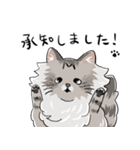 たぬねこクンの仕事で使える日常敬語（個別スタンプ：3）