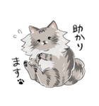 たぬねこクンの仕事で使える日常敬語（個別スタンプ：6）