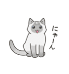 60匹のねこの、みんなで猫まみれ！（個別スタンプ：40）