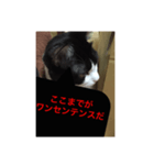 ねこ✖️猫✖️ネコ✖️ネゴっ！パート2（個別スタンプ：5）