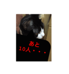 ねこ✖️猫✖️ネコ✖️ネゴっ！パート2（個別スタンプ：8）