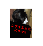 ねこ✖️猫✖️ネコ✖️ネゴっ！パート2（個別スタンプ：16）
