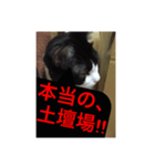 ねこ✖️猫✖️ネコ✖️ネゴっ！パート2（個別スタンプ：18）