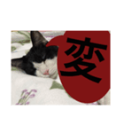 ねこ✖️猫✖️ネコ✖️ネゴっ！パート2（個別スタンプ：33）