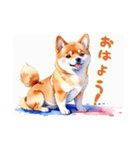 水彩画柴犬（個別スタンプ：1）