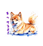 水彩画柴犬（個別スタンプ：2）