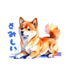 水彩画柴犬（個別スタンプ：5）