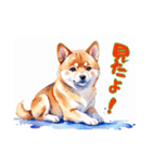 水彩画柴犬（個別スタンプ：6）