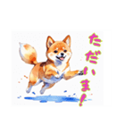 水彩画柴犬（個別スタンプ：8）