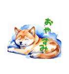 水彩画柴犬（個別スタンプ：17）