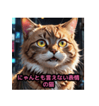 表情豊かな猫ポーズ（個別スタンプ：13）