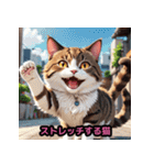 表情豊かな猫ポーズ（個別スタンプ：24）