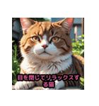 表情豊かな猫ポーズ（個別スタンプ：25）