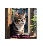 表情豊かな猫ポーズ（個別スタンプ：32）