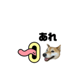 しば犬ポンタくん（個別スタンプ：21）