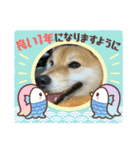 しば犬ポンタくん（個別スタンプ：25）