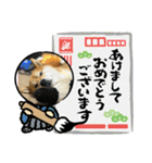 しば犬ポンタくん（個別スタンプ：26）