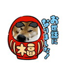 しば犬ポンタくん（個別スタンプ：28）