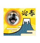 しば犬ポンタくん（個別スタンプ：29）