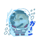 しば犬ポンタくん（個別スタンプ：30）