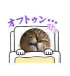 にゃんニャン❤️（個別スタンプ：2）