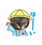 にゃんニャン❤️（個別スタンプ：14）