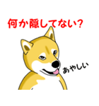 柴犬気質（個別スタンプ：9）