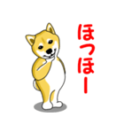 柴犬気質（個別スタンプ：20）