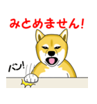 柴犬気質（個別スタンプ：22）