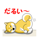 柴犬気質（個別スタンプ：30）