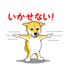 柴犬気質（個別スタンプ：33）