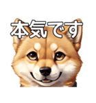 かわいい柴犬の丁寧な敬語（個別スタンプ：3）