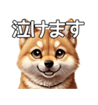 かわいい柴犬の丁寧な敬語（個別スタンプ：5）