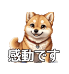 かわいい柴犬の丁寧な敬語（個別スタンプ：6）