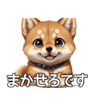 かわいい柴犬の丁寧な敬語（個別スタンプ：20）