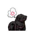 Dorla's sticker ;)（個別スタンプ：8）