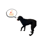 Dorla's sticker ;)（個別スタンプ：9）