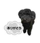 クロ グレー（個別スタンプ：2）