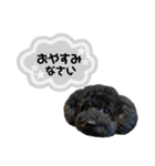 クロ グレー（個別スタンプ：6）