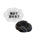 クロ グレー（個別スタンプ：7）