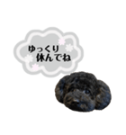 クロ グレー（個別スタンプ：10）